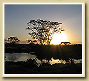 sunset in Tanzania